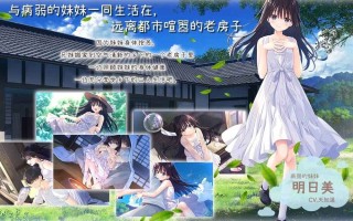 【hailou】【SLG/官中/PC】沉溺于炽热爱情的乡间隐居的兄长与，充满古典韵味的病弱妹妹 体验版 