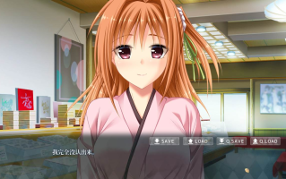 【日式/ADV/AI汉化/拔作】月明りに悶える孕女 Claude-3-7-sonnet翻译版【900M全CV新汉化】【序号1412】