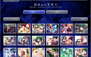 PC经典收藏游戏（对魔忍阿莎姬）中文版。593MB（全CG）