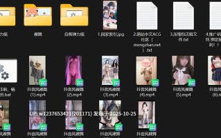 抖音风裸舞,,艳舞,性爱高潮,弹力插混剪,大摆锤，捣蒜舞,高质量剪辑合集【598V-27G】