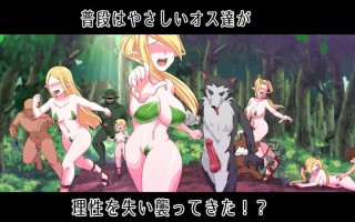 【PC/AI/动态】菲尔～理性崩溃之森～ フェルテ～理性崩壊した森～