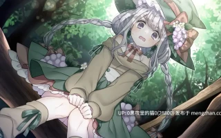 【PC/RPG/AI翻译/ 大小姐/异种X/强X /萝 】Memories Story～囚われの者たち