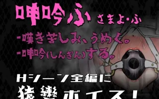 [SLG/拘束/动态] 姬在命运中呻吟 姫ハ運命ニ呻吟ヘリ Destined Damsel In Distress