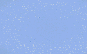 【内射/3p/口交/小马拉大车】卡拉彼丘万圣艾卡（2分50）