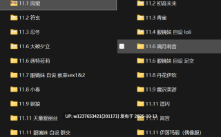 极品画师【NFFA】2024年11月图集整合包【2G】