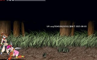 StudioS社团(珍惜资源)~サイバーくノ一アヤメX（格斗）（修复版+运行工具）