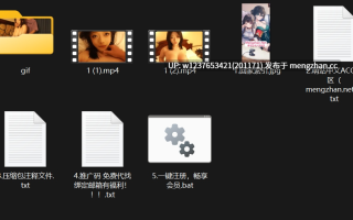 05年巨乳萌妹【岚岚】八字大奶晃来晃去，激情揉胸挑逗，童颜巨乳很吸睛【2V 22P 1.38G】