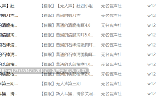 无名音声社中文音声合集【3.79G】