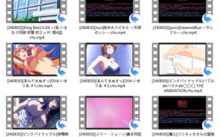 2024年8月里番合集（有字幕）