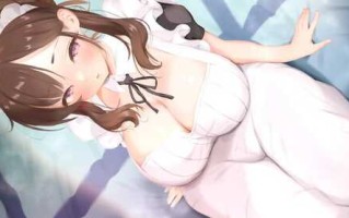 PC/SLG/他让她堕落   #He Maid Her Fall v0.2.5 汉化版