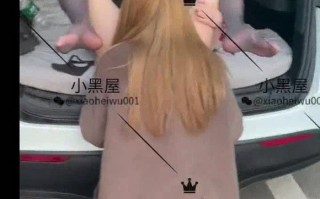 【小黑屋】推特SM大佬小黑屋群P露出NTR百合调教母狗合集[121V/9G]