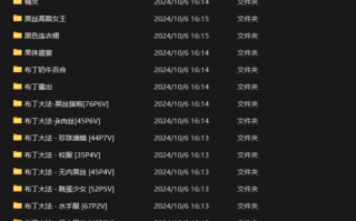 布丁大法合集68套6.11G