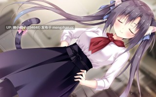 PC/SLG/#巧可甜恋3 #Amairo Chocolata 3    #あまいろショコラータ 3 官方中文版【2025年11月11日 发售】 ·注意·该游戏是双端哦有安卓版本