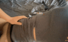 调教黑丝母狗，骚贱狗满嘴骚话