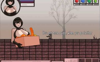 【2D 欧美 PC NTR 像素】放浪的女英雄！（BankruptHeroines）