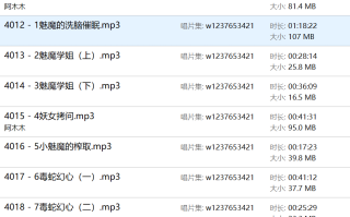 阿木木中文音声合集【10G】