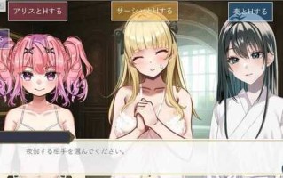 王者后宫【RPG/AI汉化版/pc】