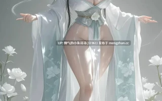 古风美 仙门魅影 [102P+400M]