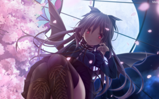 【 gal/汉化/剧情作】青鸟