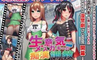 PC/SLG/痴漢調教~調教两个自大的小母狗 -/精翻