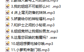 中文音声-姐姐系列-R18-13部
