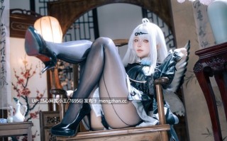 屿鱼 – NO.046 绝区零 仪玄 墨形影踪