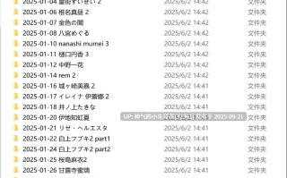 MISAAKI 付费AI图集 2025.01【6g】
