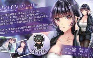 【SLG/官中/调教/PC+joi】职场女友带回家 Ver1.05+DLC【433M】