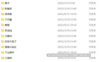 推特萝莉小合集 2570P+2V-2.7G 