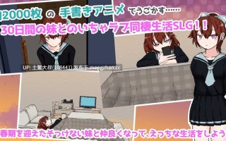 2D日式腐败RPG 机翻 -- 和我青春期的小妹妹共度30个日 30 Lewd Days with My Adolescent Little Sister [v1.0] 630mb