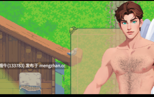 【像素/冒险/ACT/动态/PC/生肉】避难所的陨落 Fall of Haven [v0.7.6] 【161M】【序号6842】