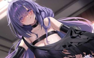 [SLG、3D]PlayHome终极12.0收藏版132G