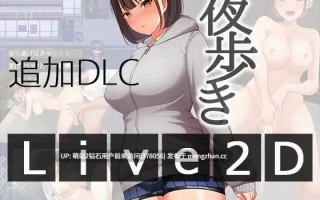[官中步兵][野外露出][调教漏尿][淫荡好色]夜间散步 夜歩き STEAM官方中文版