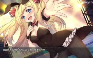 slg pc加安卓 /奈的调教日记