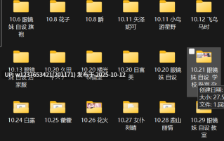 极品画师【NFFA】2024年10月图集整合包【1.23G】