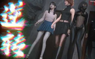 逆转系统1.0首发版双端