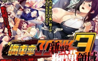 [互动3D大作/全动态/痴汉调教/更新] 満車率300% 3≒ v25.03.18 官方中文版