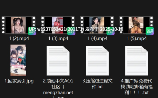 棒子超美御姐【BJ徐婉】穿着超诱惑的黑纱情趣内衣+过膝黑丝【7v 500m】