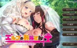 PC/ADV/如何与精灵结婚~后宫结婚推奖  #エルフのお嫁さん ～ハーレム婚推奨～  v1.0 汉化版+全CG版本+特典