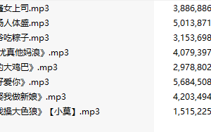 【粉丝福利/白嫖/激情骚麦/8部合一】【MP3版】【中文】【218-225】【完结】