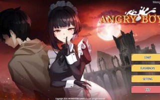 PC/SLG/Angry Boy/STEAM官方中文