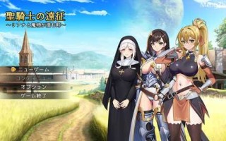 DL11月新作【回合RPG/强X/异种X】圣骑士的远征～莉安娜与潜伏魔物的城镇～（聖騎士の遠征～リアナと魔物が潜む町～）V1.0 AI汉化【1.40G】