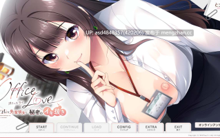 高冷前辈女友的秘密射精管理~OfficeLove -クールな先辈彼女と秘密のイキ抜き【PC+ADV+纯爱+汉化+812M】
