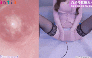 【網野ぴこん】🔞11月R18コンテンツ_ひよこプラン