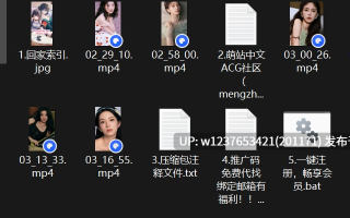 明星/网红AI脱衣系列：强行撕衣/乖巧狗爬【356M】