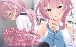 新汉化[日式ADV] 哥哥，做爱吧？～妹妹的性欲太强了…～ お兄ちゃん、エッチしよ？ ～妹の性欲が強すぎて…～ AI汉化版 [520M]