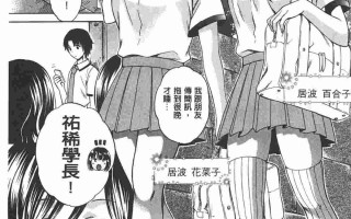 少女所選擇的結局 ~一時的快楽、永遠的愛~