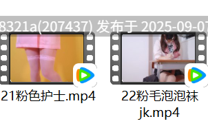 地雷系合集9【6V，2.49G】