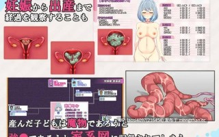 [RPG/PC]#魔法少女露娜和奈奈美 - 被植入邪恶基因的母亲与女儿   #魔法少女るなとななみ-悪の遺伝子を孕まされる母娘- v1.1.1 AI汉化版