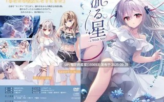  流る星 -a Wish Star- / 流星 -a wish star-